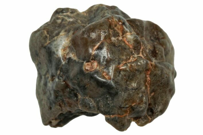 Lunar Meteorite ( g) - Touat #303585